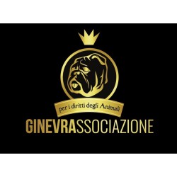 Tessera